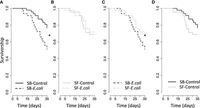 Scorpion venom and its adaptive role against pathogens: a case study in Centruroides granosus Thorell, 1876 and Escherichia coli